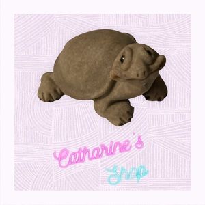 Quarry Critter - Thurman the Turtle